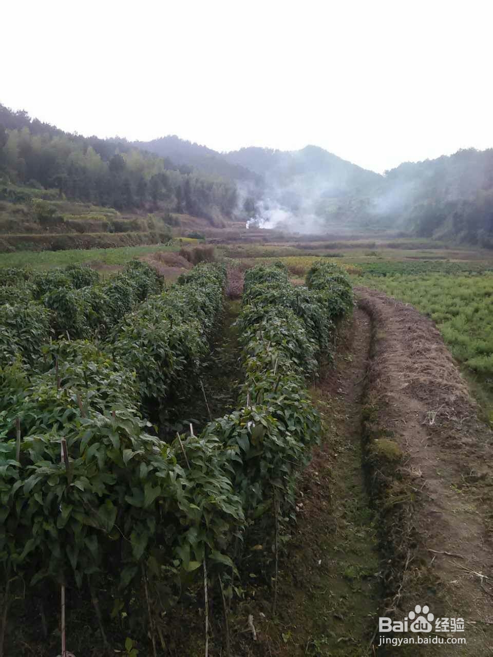 带你走进大别山体会农家快乐