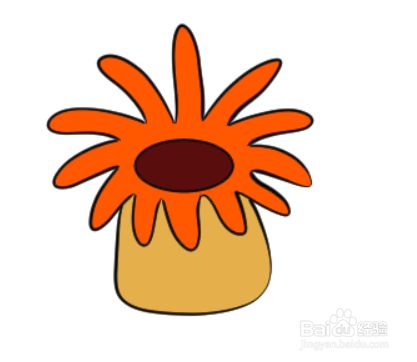 如何简单地绘制海葵