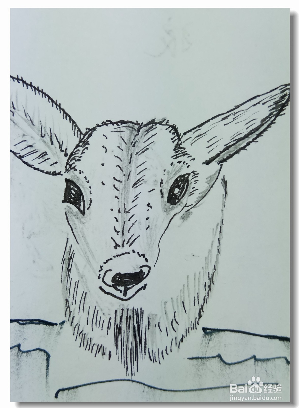 怎样画简笔画“小鹿头”