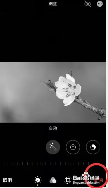 苹果手机照片变黑了如何恢复