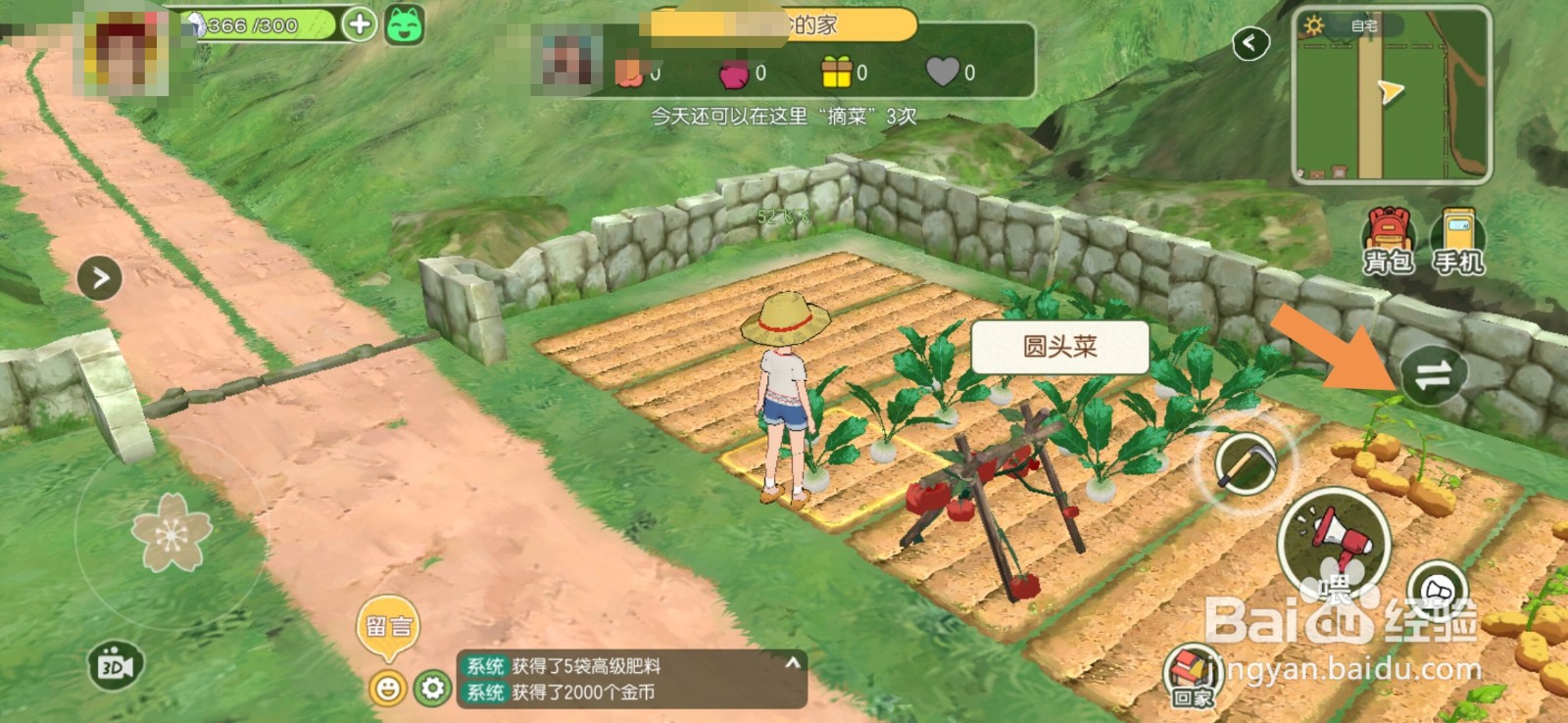 小森生活怎么偷菜