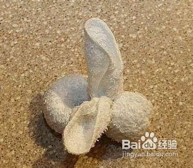 可爱的毛巾小兔子制作教程