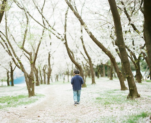 让你成为强者的