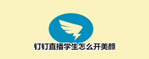 钉钉直播怎么开美颜