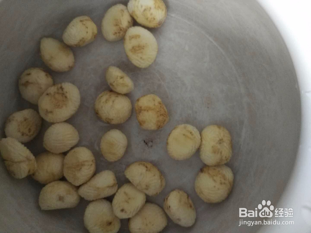 板栗猪肚汤怎么做