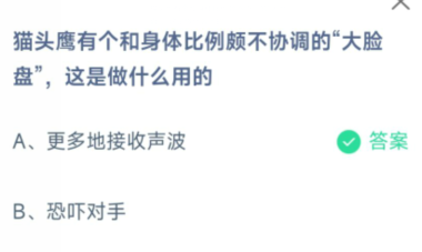 蚂蚁庄园猫头鹰的大脸盘