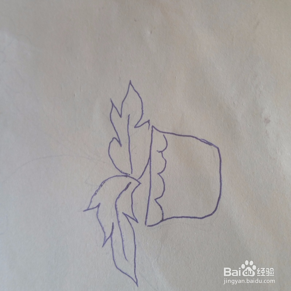 美丽太阳花小盆栽简笔画