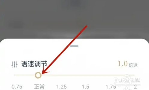 看理想设置倍速播放方法介绍