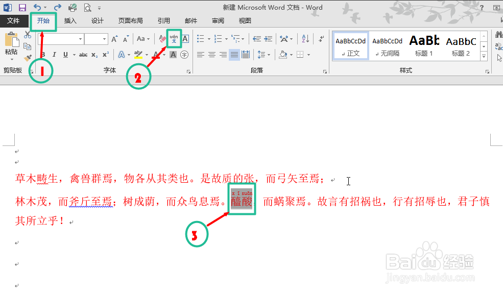 快速认识Word文档中生僻字的读音