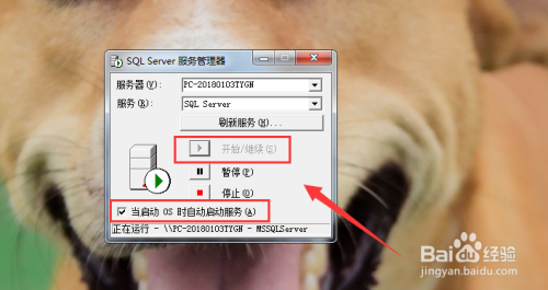 如何开启（启动）SQL server 服务管理器？