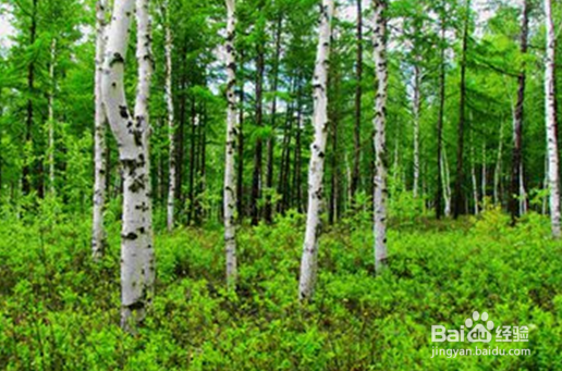 2017年高考如何低分上名校,解读提前批的奥秘
