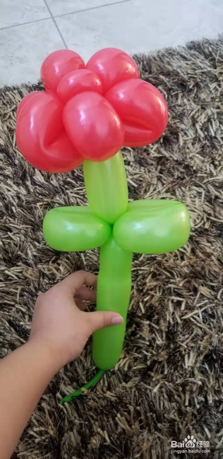我爱气球之魔术气球--如何编制花朵