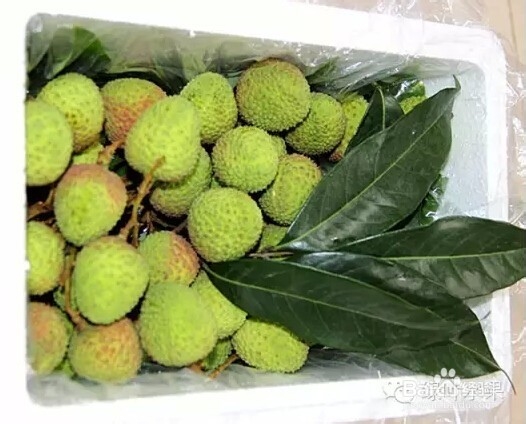海南妃子笑荔枝营养价值