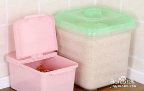 大米生虫怎么办?如何防止大米生虫