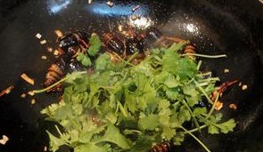 怎么做干煸蚕蛹