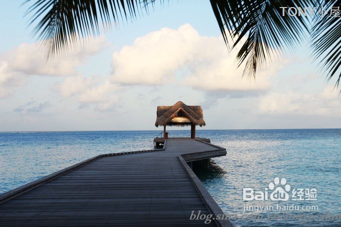 马代之行第四篇------人间天堂马尔代夫的沙滩海景让人陶醉