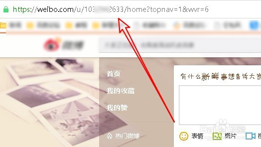 新浪微博的数字ID号怎么查