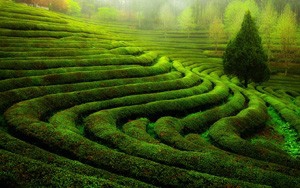 黄金的供给和需求都有哪些?