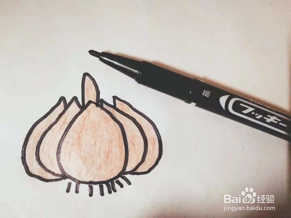 大蒜怎么画