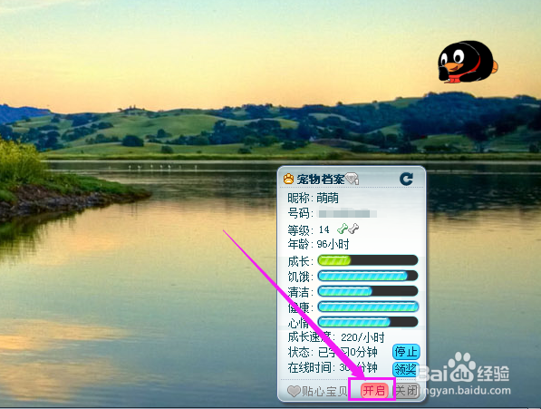 Q宠如何开启贴心宝贝？