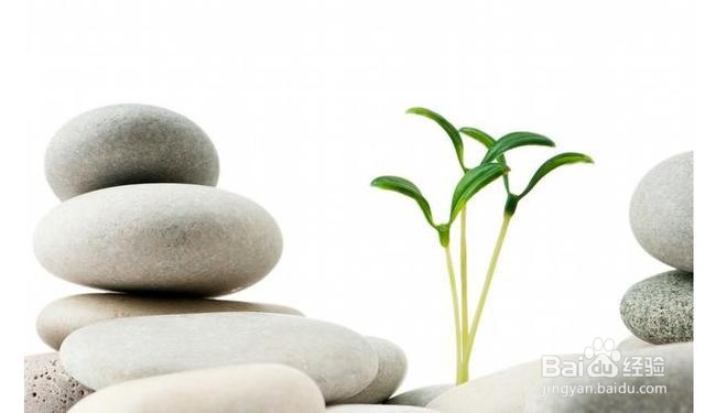 克服消极情绪保持心情愉悦的方法