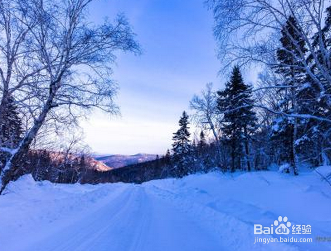 4月份下大雪了怎么办?