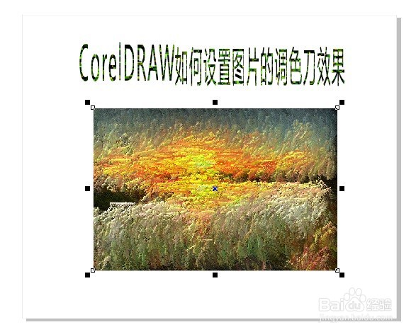 CorelDRAW如何设置图片的调色刀效果