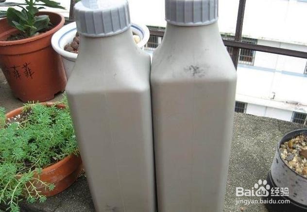 用塑料瓶做花盆