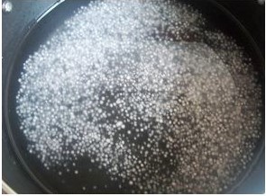 木瓜椰汁西米露