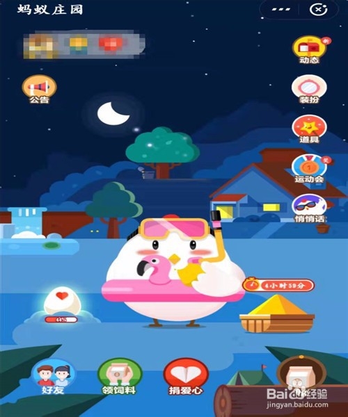 怎样给蚂蚁庄园的小鸡换上夏日沙滩套装