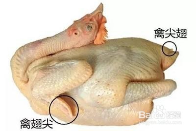 动物肉的哪些部位不能吃