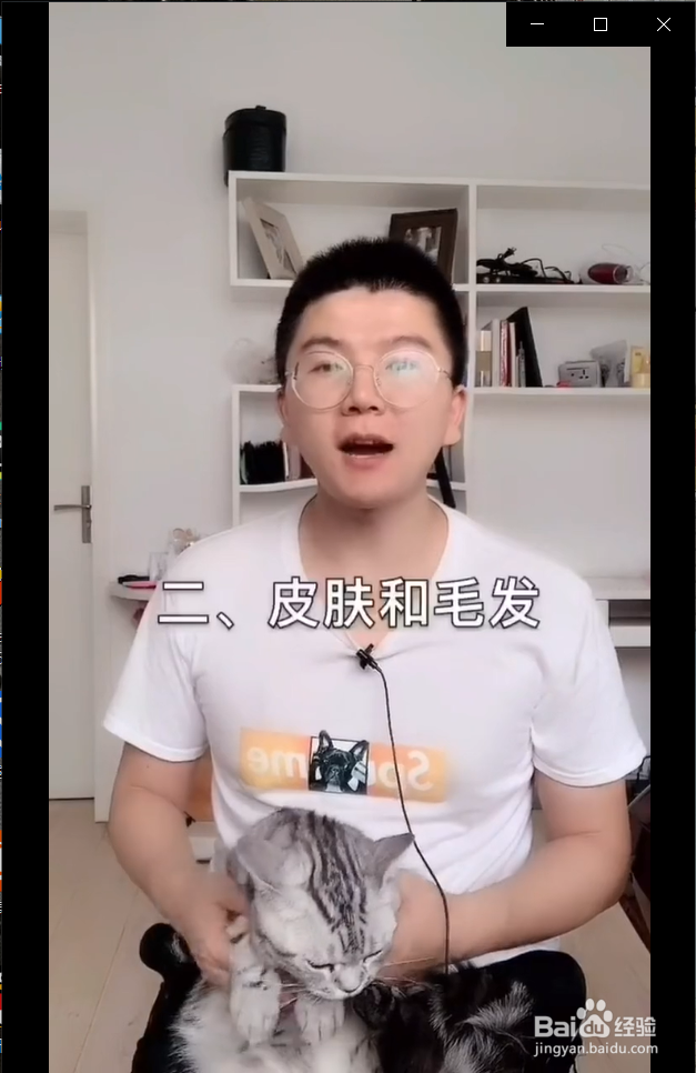 怎么在家给猫咪做体检