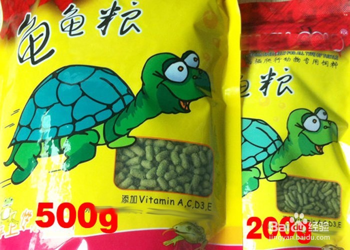 家庭养巴西龟的注意事项