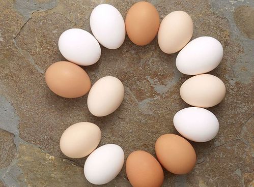 清芙蓉鸡的做法