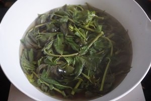 健康养生佳品香椿拌豆腐的做法