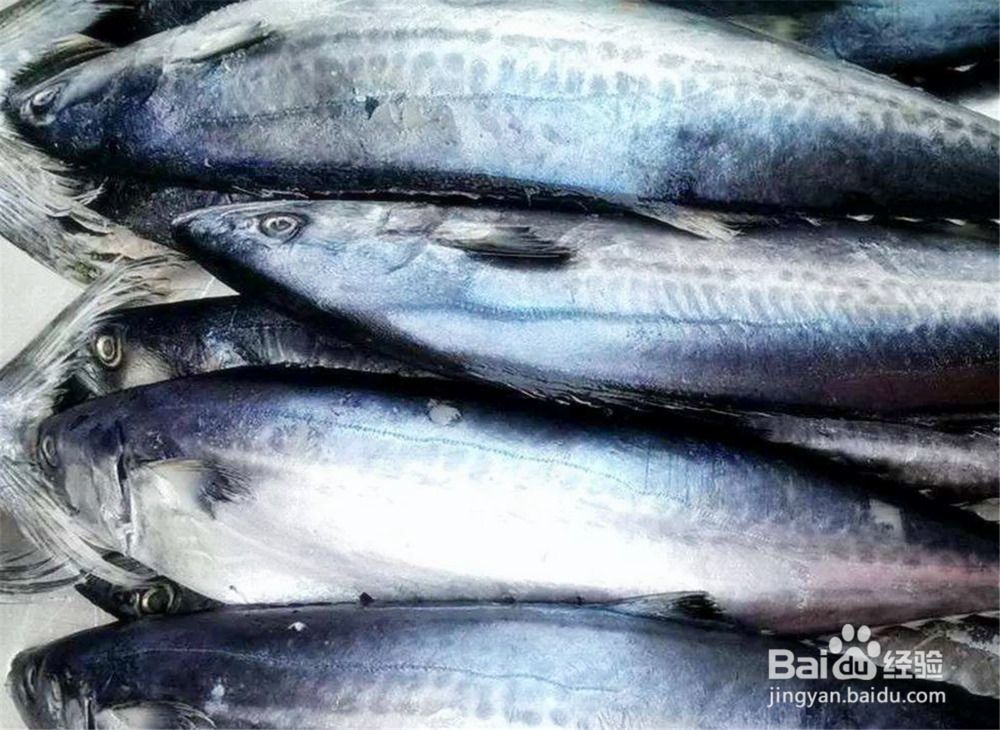 日照旅游防宰攻略，日照吃海鲜去哪好