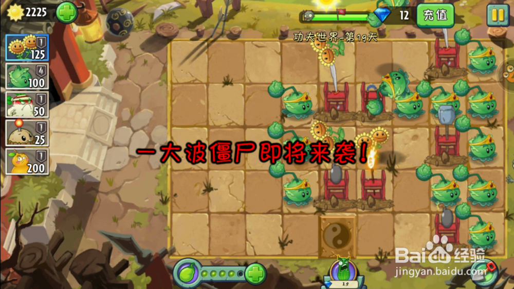 植物大战僵尸2功夫世界19天攻略