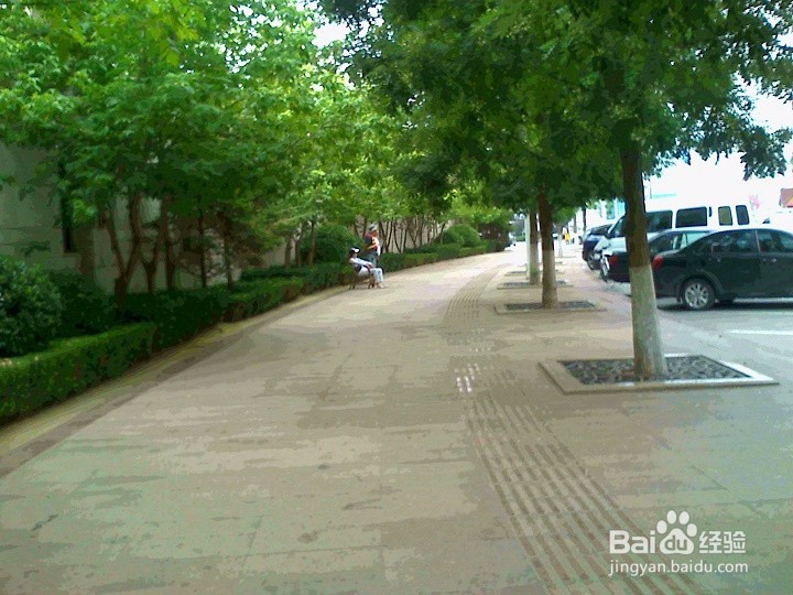 幼儿期的孩子安全出行