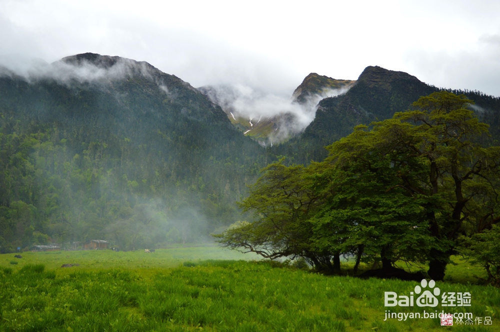 2016西藏拉萨拉姆拉错高品质自由行攻略摄影游