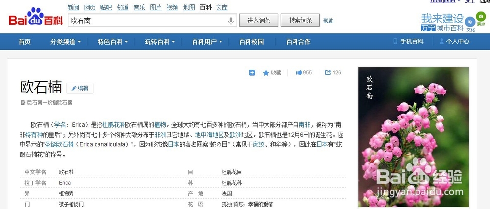 如何提升百科的通过率