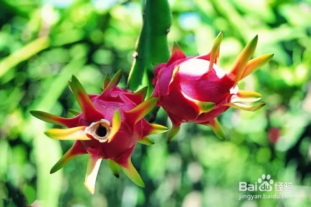 一生都不胖的方法！不用饿肚子，不用吃药，简单