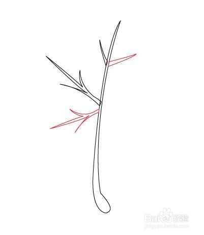 怎么样画四季：[1]秋天枫叶