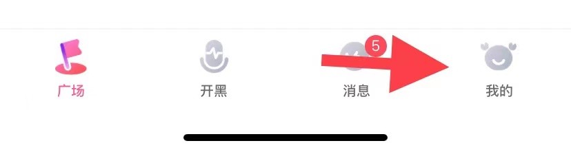 皮皮蟹如何找到隐私设置