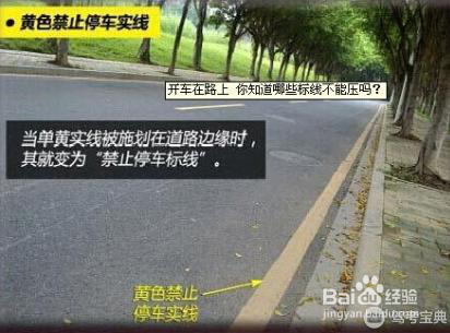 路边黄色实线和白色实线有什么区别？