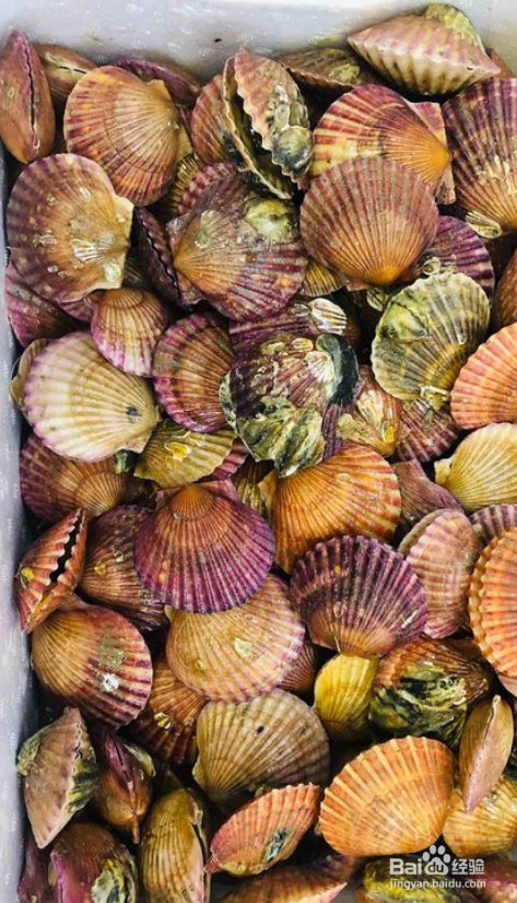 蒜蓉粉丝蒸扇贝的做法