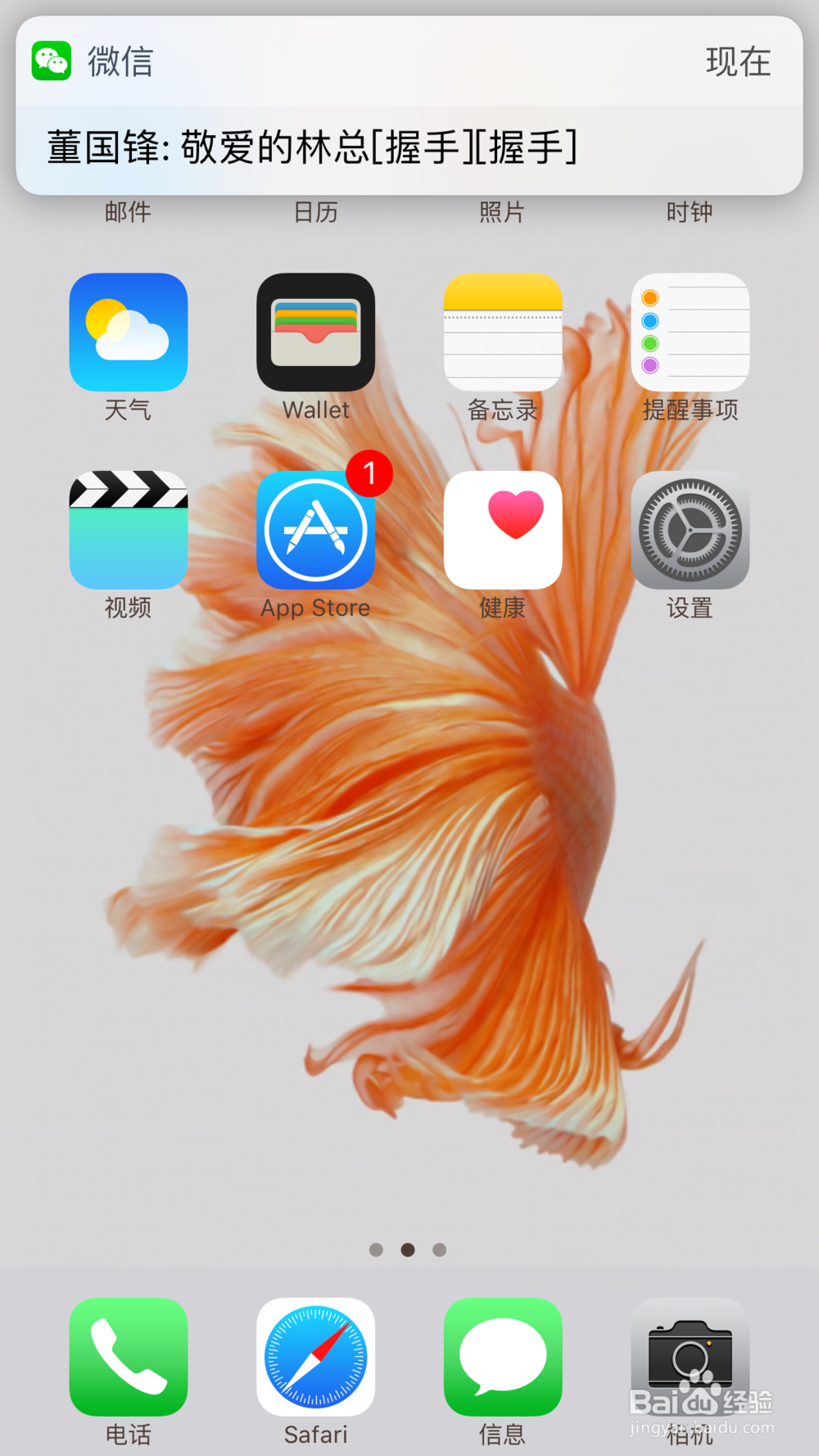 iPhone7怎么清除safari浏览器历史记录与数据