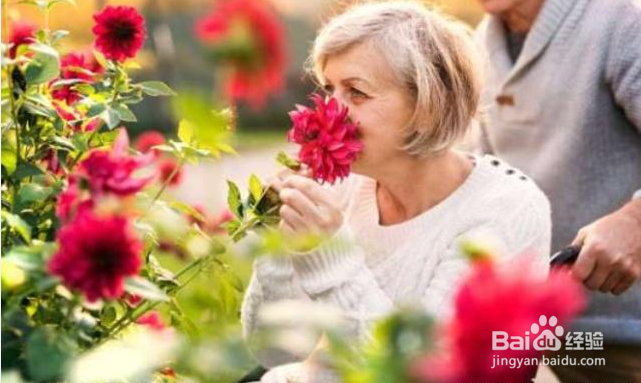 老人手抖一定是帕金森病