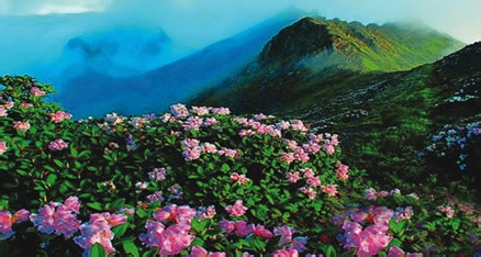 云南旅游攻略推荐