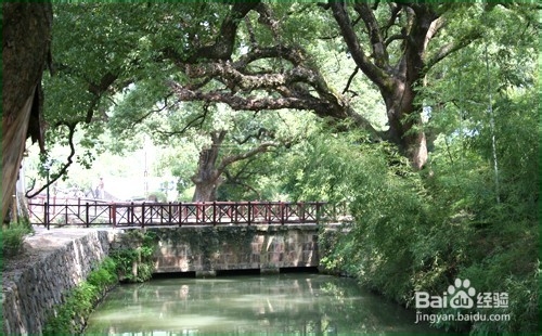 新年涨工资——自我提升【一】