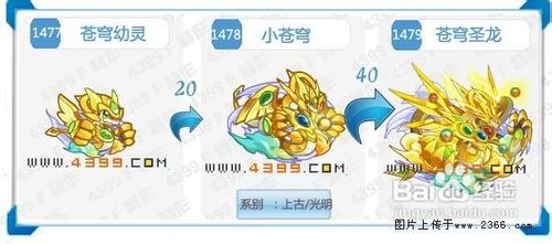 奥拉星苍穹圣龙打法